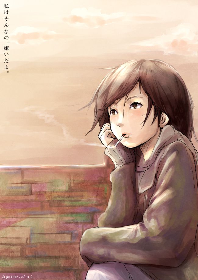 「私はそんなの嫌いだよ。」