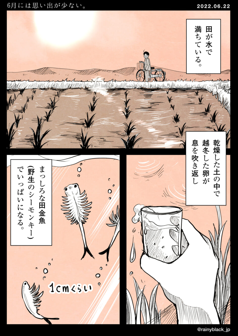 「6月には思い出が少ない。」
